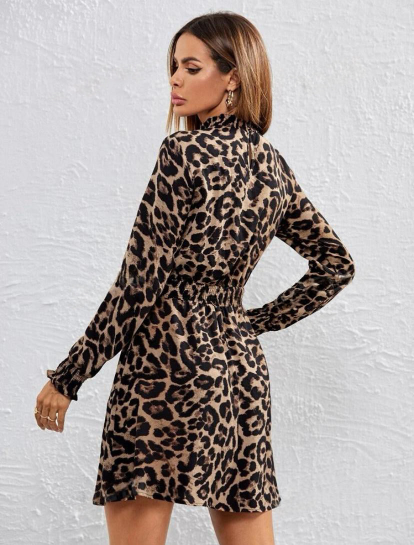 Leopard High Neck Long Sleeve Mini Dress